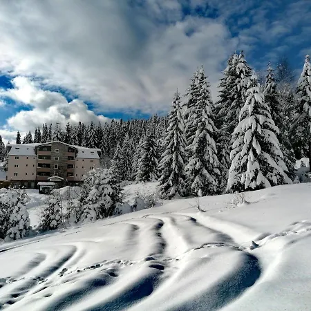 Lenka Zlatar Nova Varoš