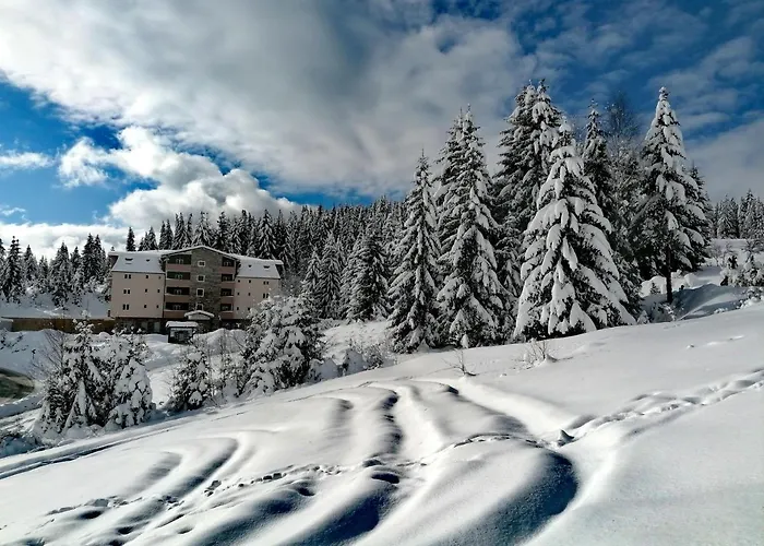 Lenka Zlatar Nova Varoš